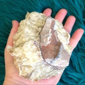 Big hunk of dogs tooth calcite